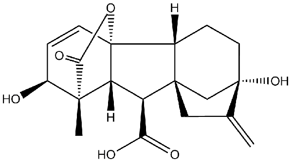赤霉素GIBBERELLIC ACID，居然有這么神奇？